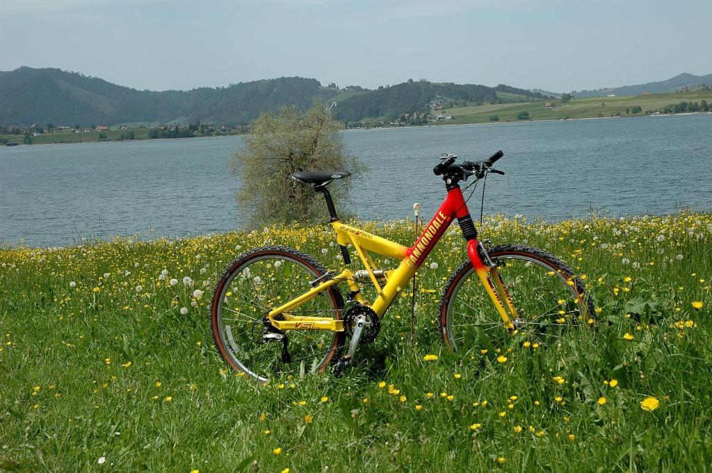 B&B Ferienhof Am See Willerzell Exteriér fotografie